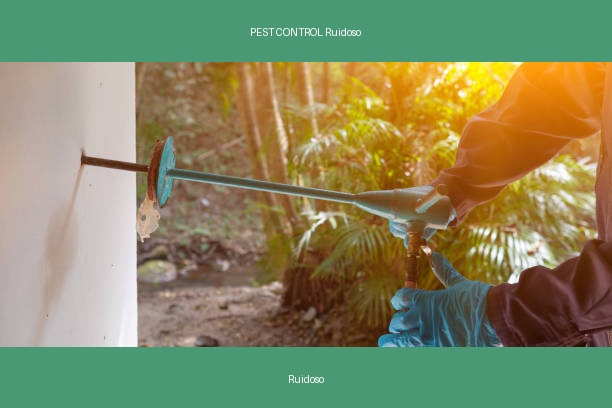 PEST CONTROL Ruidoso